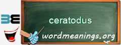 WordMeaning blackboard for ceratodus